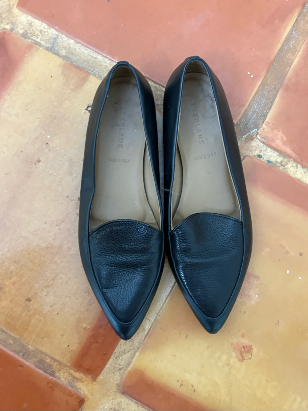 Everlane Black Pointed Leather Flats